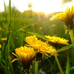 Анастасия Москва, 22.07.1988, Марс