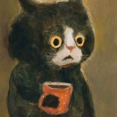 Роман Крылов, Санкт-Петербург