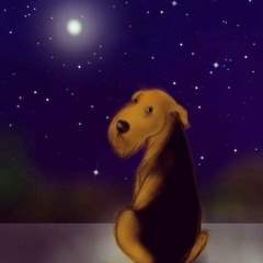 Валерия Савельева, 08.10