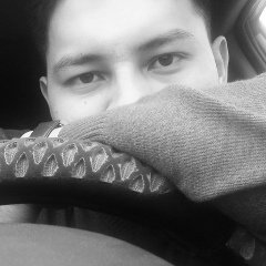 Дамир Даулетпаев, 08.03, Алматы