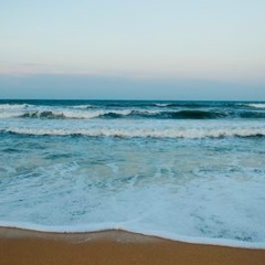 Денис Капитан, Москва