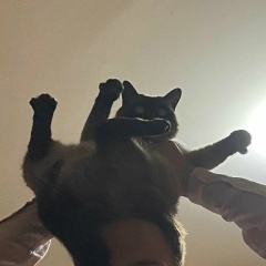 Иоанн Хохлов, 24.01