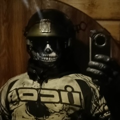 Евгений Смирнов, Гомель