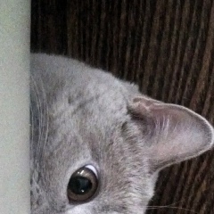 Ирина Вербицкая, 06.03, Нетешин