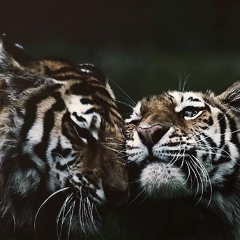 Виталий Воронов, 26.07.1979