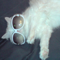 Игорь Антонов, 07.05.1987, Санкт-Петербург