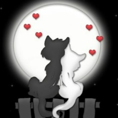 Анатолий Лебедев, 29.02, Санкт-Петербург