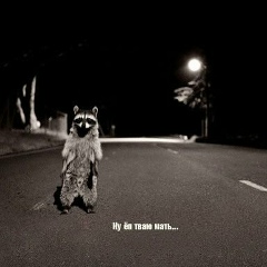 Сергей Огнев, 09.06