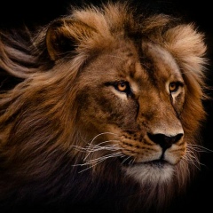 Брахим Ягуби, 01.01, Fès