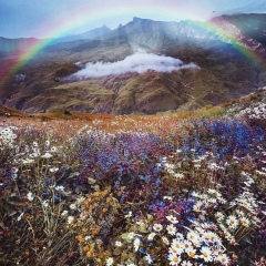 Aizhana Utemisova, 21.12