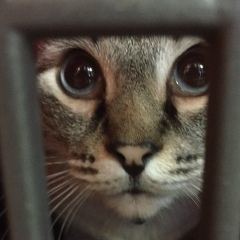 Влад Хохлов, 23.05, Якутск