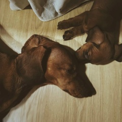 Анна Анатольевна, 30.03