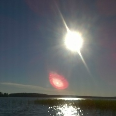 Сергей Жижин, Санкт-Петербург
