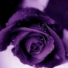 Dilnaz Azizkhojayeva, 08.03.1989