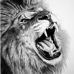 Юрий Якоби, Волгоград