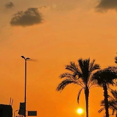 Ali Taysumov, 29.08.1991, Грозный