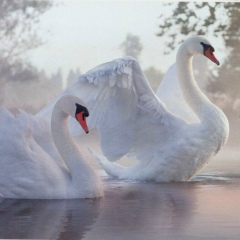 Медина Сактаганова, 01.07, Астана