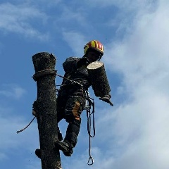 Серега Елисеев, 10.07.1992, Белгород