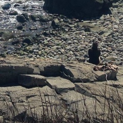 Alyssa Kramer, 04.07.1996, Киев