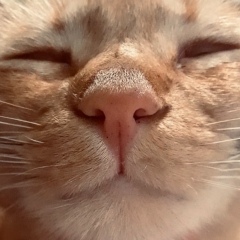 Антонина Васильченко, 12.06, Калининград