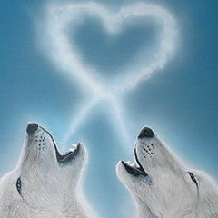 Антон Самедов