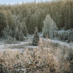 Александр Чеканов, 02.03.1978, Екатеринбург