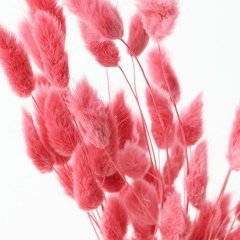 Гульназ Сандыбаева, 13.04.1995, Алматы