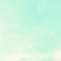 Лира Сирин, 23.10