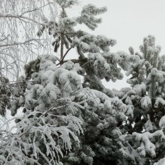 Людмила Симонова, 26.09, Москва