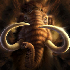 Қанат Маратұлы, Алматы