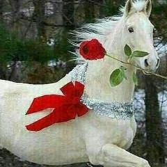 Нурбак Нургали, 19.06.1999