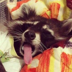 Дарья Милтер, 07.06, Тюмень