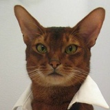 Maxxx Malonukhin, 03.12.1990