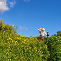 Алёна Корогода, 31.10.1989, San Diego