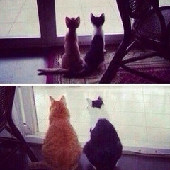 Лязиза Сайынкызы, 25.08.1992