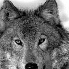 Виталий Зверев, 23.09.1986, Витебск