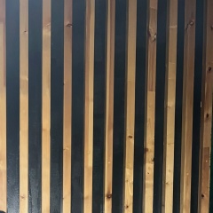 Нуржигит Адылбеков, 01.01.1995, Бишкек