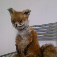 Marius Turcan, 04.01.1999, Кишинев