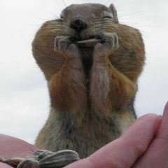 Сережа Марченко, 08.05