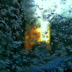 Илья Заикин, Санкт-Петербург