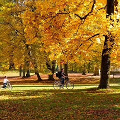 Татьяна Квакова