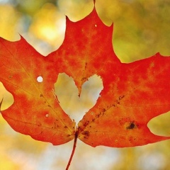 Богданна Кіндт, 01.01, Berlin