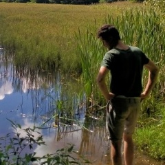 Владислав Быстрицкий, Москва