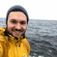 Сергей Карашевич, Reykjavík