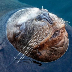 Иван Травкин, 01.01