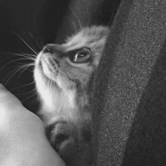 Татьяна , 17.02, Златоуст