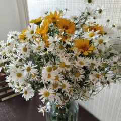 Светлана Селезнёва