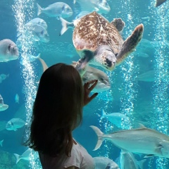 Ксения Гумерова, 29.04, Калининград