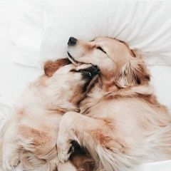 Ольга Шестак, 01.01, Москва