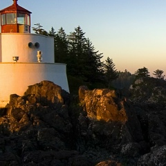 Віталік Судол, 16.08.2002, Львов